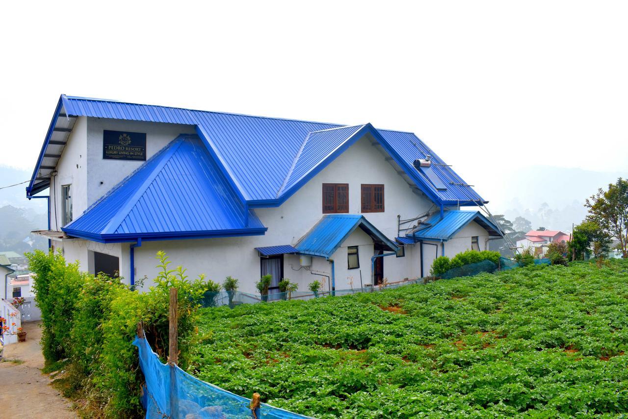 Yoho Pedro Resort Nuwara Eliya Eksteriør billede