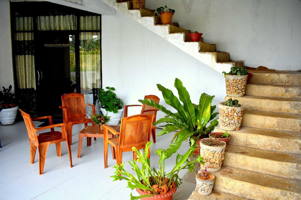 Yoho Pedro Resort Nuwara Eliya Eksteriør billede